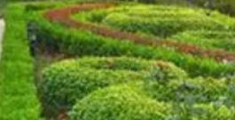 園林綠化要掌握工程原理，又要具備指導(dǎo)技能