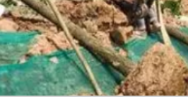 說說廣州金躍園林綠化工程的重要性