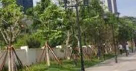 廣州金躍園林綠化工程風(fēng)景園林工程施工