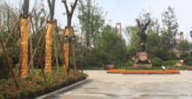 園林綠化工程結(jié)算要點(diǎn)及審計(jì)思路