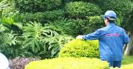 你知道景觀植物的設(shè)計(jì)要求嗎？
