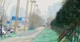 給花卉跟果樹施藥前一定要了解農(nóng)藥是否會對其產(chǎn)生藥害