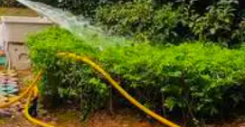 如何合理的做好夏季綠地養(yǎng)護(hù)對于植物的健康生長？