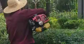 如何確保綠化養(yǎng)護(hù)工作順利開展和保證養(yǎng)護(hù)人員、設(shè)備安全？