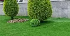光照是花卉植物進(jìn)行光合作用的必要條件