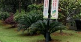 走進小區(qū)綠化調(diào)整，了解一些不得不知的事實